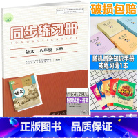 同步练习册 八年级下册 语文 八年级/初中二年级 [正版]2022年春新版 配人教版 初二2下学期同步练习册 语文 八年