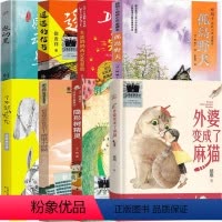 3年级套装8册 [正版]外婆变成了麻猫三年级课外书慈琪著明天出版社 孤岛野犬 遥远的信号 了不起的灰灰 大盗奶奶的完美冒