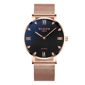 沃力仕(WLISTH)2019手表IPS电镀 男士薄款时尚学生男表防水工厂石英手表 IP金网带