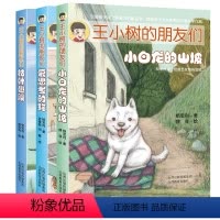 [正版]王小树的朋友们 爱思考的猫 小白龙的山坡 枯叶翅膀 开发想象力 提高语文素养 儿童文学 童话书 小学生课外阅读