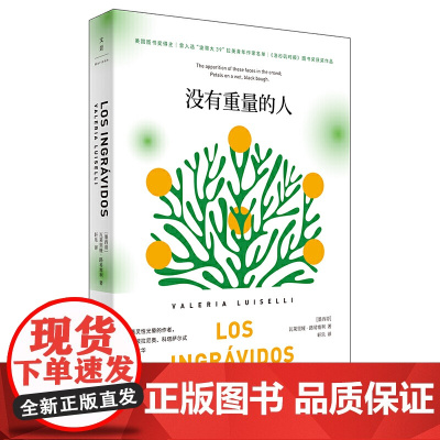没有重量的人 瓦莱里娅·路易塞利? 上海人民出版社 正版书籍