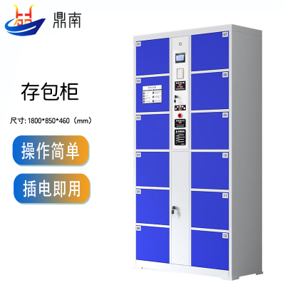 鼎南电子存包柜超市商场智能储物柜存包柜红外条码寄存柜12门