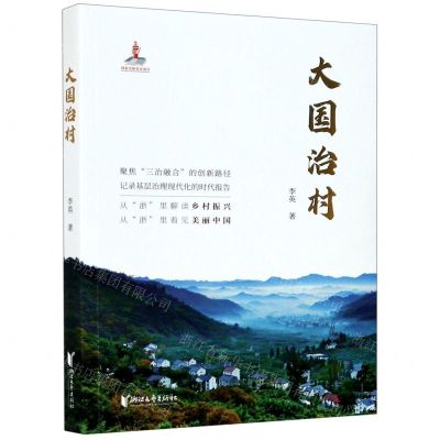 [N]大国治村-9787533959913