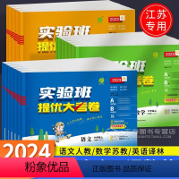 [3本]3年级上 语数英 小学通用 [正版]2024实验班提优大考卷一二年级上册三年级四年级五六年级语文数学试卷测试卷全
