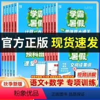 ❤️[4本]课堂笔记+阅读集训+计算+思维题(语文+数学) 小学一年级 [正版]2024学霸暑假衔接作业一升二升三升四升