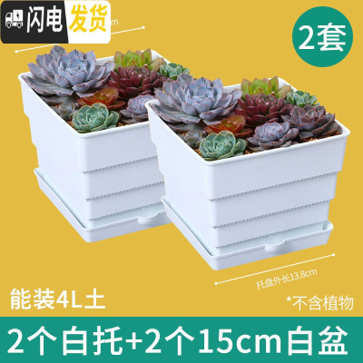 三维工匠美莳控根多肉花盆塑料套装组合创意透气肉肉控型盆器带托盘小花盆 小白托+15cm白色方盆2个 小花盆容器