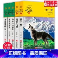 [正版]狼王梦沈石溪动物小说全集系列全套5册斑羚飞渡 后一头战象第七条猎狗6-7-10-12岁 四五六年级小学生课外阅读