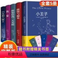 精装名著装(全5册) [正版]世界文学名著原著 青少年版名家名译 小学生初中生初一必读的课外书阅读书籍 高中外国小说