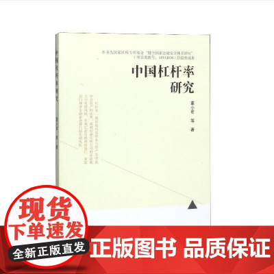 中国杠杆率研究