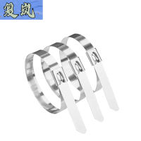 复岚 扎带 4.6*100mm/根