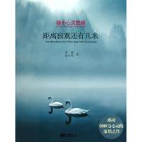 正版新书]距离寂寞还有几米(都市心灵慰藉)张悫//张自明97875146