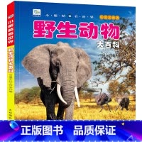 [任选3本39元]野生动物 [正版]汽车绘本儿童书籍大全 注音大百科男孩看代揭秘经典小汽车视觉幼儿科学认知科普读物 适合