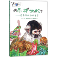 音像雨林动物(英)卡罗琳·富兰克林 著、绘;黄丹彤 译