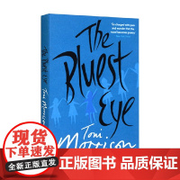 英文原版 BLUESTEYE THE(B) 最蓝的眼睛