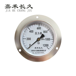 嘉禾长久 压力表轴向带边检测定制型 Y100ZT 块