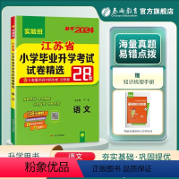 语文 六年级下 [正版]春与教育2024实验班江苏省小学毕业升学考试试卷精选28套语文人教版江苏小升初真题卷模拟试卷六年
