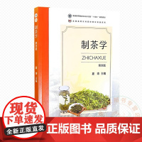 制茶学 第四版 9787109325890 夏涛主编 中国农业出版社茶学专业教材