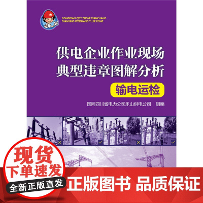 供电企业作业现场典型违章图解分析 输电运检