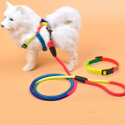 狗绳狗链子狗狗牵引绳法耐中小型犬项圈泰迪遛狗绳猫咪绳宠物狗狗用品单个项圈无绳子+胸背带-小号适合1-6斤的狗狗-