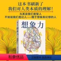 [正版]想象力 大脑如何让我们脱颖而出 大卫贝克斯特罗姆著 与其说我们是智人 不如说我们是幻人 精于想象和幻想的人 出