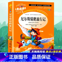 尼尔斯骑鹅旅行记 [正版]满49尼尔斯骑鹅旅行记 小学生课外书读物7-10-12岁儿童文学故事书籍 青少版图书 初中青少
