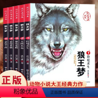 狼王梦 全5册 [正版]沈石溪画本 狼王梦 全5册 动物小说大王画本珍藏版完整版漫画版小学生三四五六年级课外书8-12岁