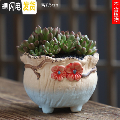 三维工匠可画画上色彩多肉小花盆陶瓷粗陶透气创意肉肉植物盆 咖啡色图片款[1个装] 中等花盆容器