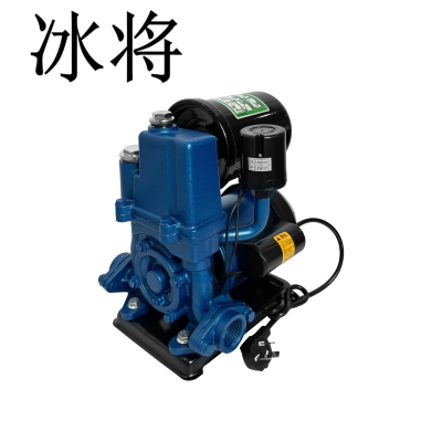 冰将 220V全自动自吸泵加压水泵 台