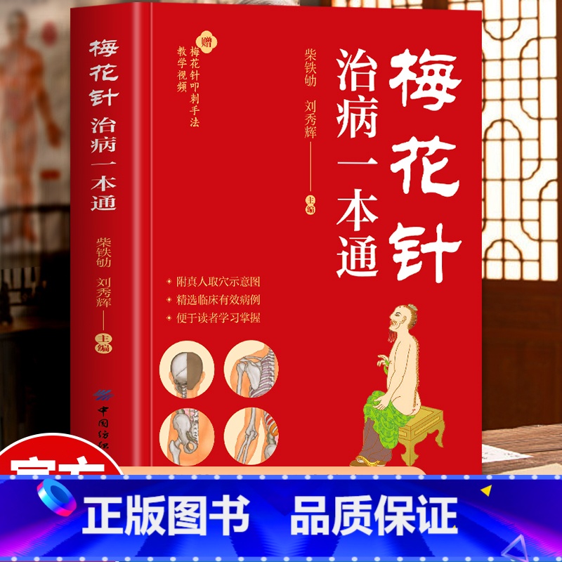 梅花针治病一本通 [正版]梅花针治病一本通 梅花针疗法 中医刺血梅花针教程 刺血治病一本通 梅花针刺血疗法全真图解 针灸