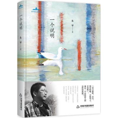 正版新书]一个说明朱零9787506868372