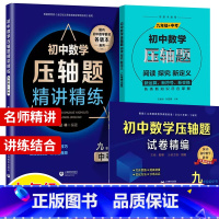 数学压轴题精讲精编+试卷+阅读探究新定义 9年级.3本套 初中通用 [正版]初中数学压轴题精讲精练试卷精编七年级八年级九
