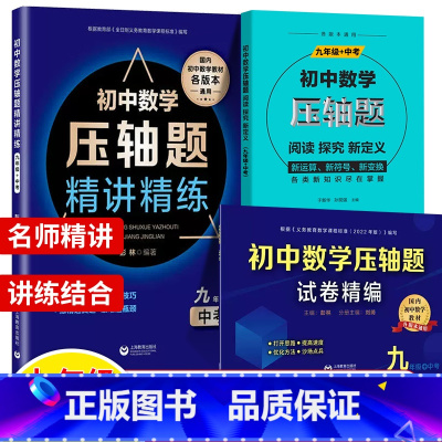 数学压轴题精讲精编+试卷+阅读探究新定义 9年级.3本套 初中通用 [正版]初中数学压轴题精讲精练试卷精编七年级八年级九