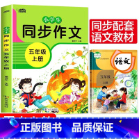 五年级同步作文上册 小学四年级 [正版]新版 同步作文四年级上册人教下册三五六年级语文同步小学生版4年级作文大全356写