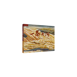 正版新书]九神鹿绘本馆----一条大河于大武 著绘9787514855517