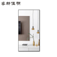 睿新佳明穿衣镜更衣镜1400*900*5mm 块