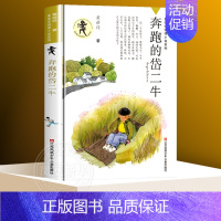 ❤奔跑的岱二牛 [正版]你是我的宝贝 黄蓓佳倾情小说系列 校园儿童文学 童书小学初高中生课外阅读6-10-12-14岁图