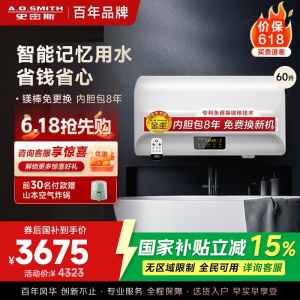 AO史密斯60升电热水器 专利免更换镁棒 金圭内胆 全隐藏安装 大屏触控 双驱速热节能 E60EDX 遥控预约
