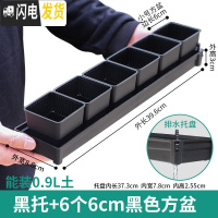 三维工匠美莳控根多肉花盆塑料套装组合创意透气肉肉控型盆器带托盘小花盆 [窄排水黑托]+6个黑盆(6cm盆) 小花盆容器