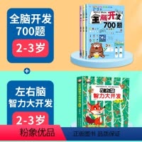 [全4册]全脑开发+智力开发(2-3岁) [正版]2-6岁全脑开发700题斗半匠1000题幼儿童数学思维逻辑训练早教书幼