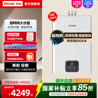 [大升数鲸沌沌]林内20升燃气热水器 变频恒温 家用天然气 节能大水量热水器20GS41新品