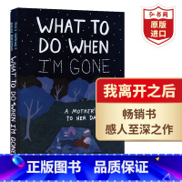 [正版]我离开之后 一个母亲给女儿的人生指南 A Mother's Wisdom to Her Daughter 英文
