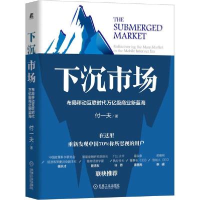 正版新书]下沉市场 布局移动互联时代万亿级商业新蓝海付一夫978