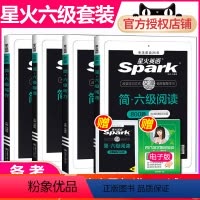 六级阅读听力翻译写作专项4本 [正版]备考2024.6英语六级全套 星火英语大学英语六级听力阅读翻译写作4本全套专项训练