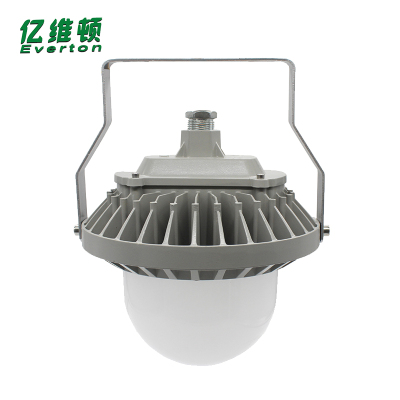 亿维顿 LED平台泛光灯 70W 个