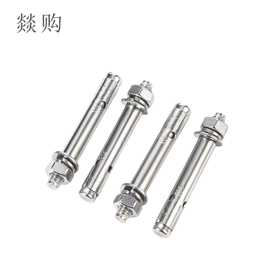 燚购 304不锈钢膨胀螺栓M14*100mm 个