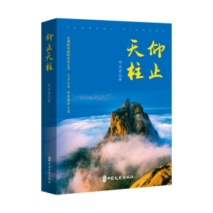 正版新书]仰止天柱郑炎贵 著 著9787520548885