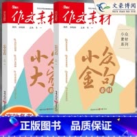 [大时代3本]精神印记/中国青年/中国力量 收藏加购优先发货 [正版]2023作文素材高考版高中语文小众金句新高考小众素