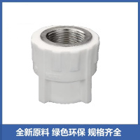 盛京联硕 PPR内螺纹直通PPR20×1/2(4分) 个