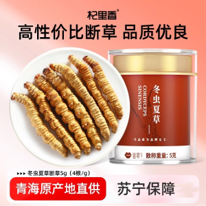 断草5g4根/g 杞里香青海冬虫夏草正品东虫草茶干货无礼盒装酒