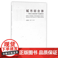 城市综合体——零售业态演变视角下的消费空间 武前波黄杉 中国建筑工业出版社 正版书籍